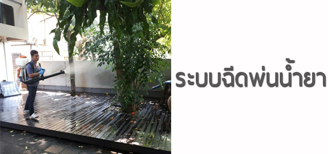 ระบบฉีดพ่น