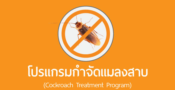 บริการกำจัดแมลงสาบ