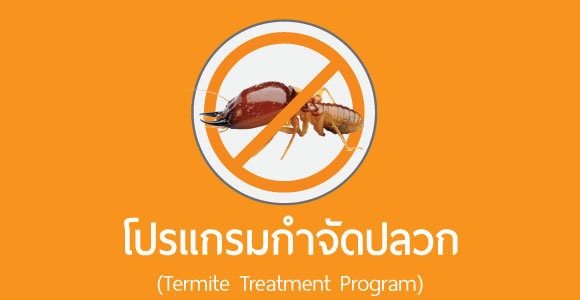 บริการกำจัดปลวก