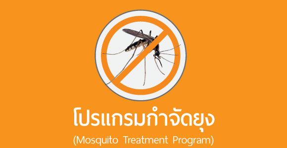 บริการกำจัดยุง